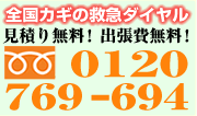 �S���J�M�̋~�}�_�C����